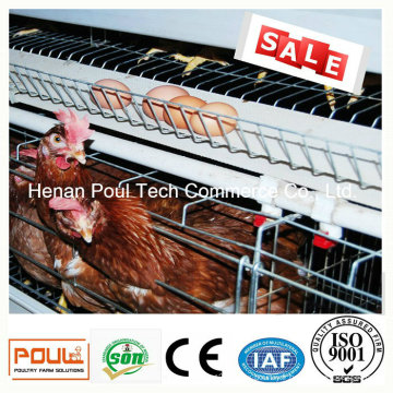 Équipement de cage de poulet à couche automatique (un cadre)